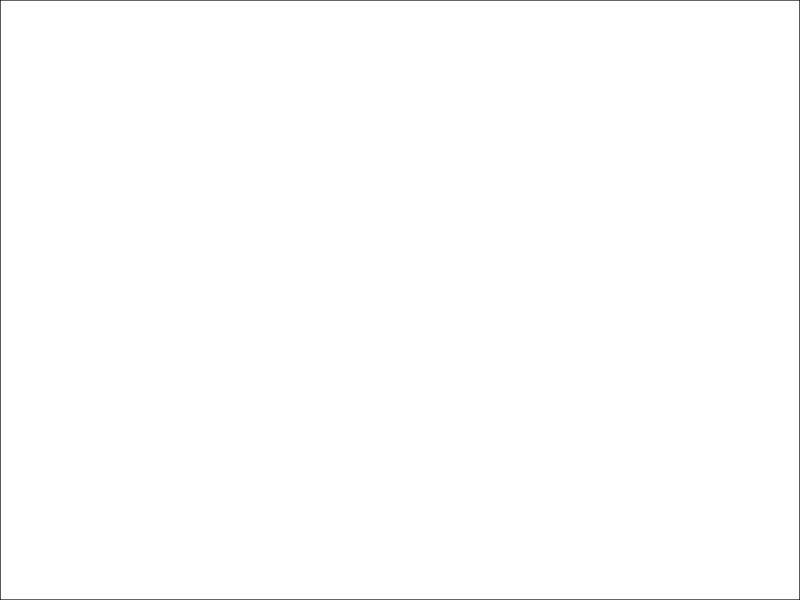 800px-Auto_Racing_White.svg